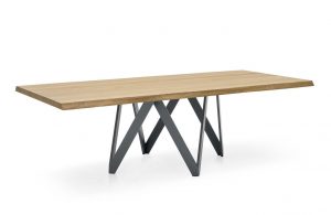 | cartesio-tisch-calligaris (1)