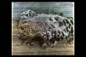LEOPART Beleuchtet Textilbild Gewebe Stoff Dekostoff dreamlux
