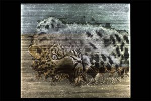 LEOPART Beleuchtet Textilbild Gewebe Stoff Dekostoff dreamlux | LEOPART-Dekostoffe-paneel-dreamlux