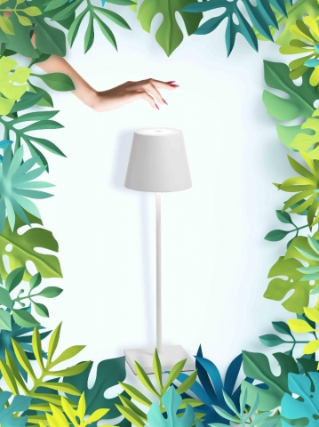 POLDINA-NEW-AILATILIGHTS