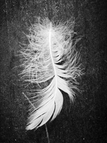 handgefertigte Produktion von Betten und Sofas von d3co