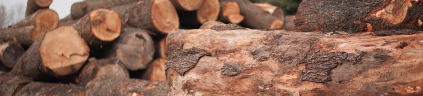 Riva 1920 HOME FRAGRANCE - madeinitaly | Riva-1920-HOME-FRAGRANCE-madeinitaly-6