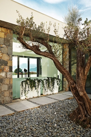 slide pot-bamboo-mobile Raumteilung Abtrennung dekorativ COVID-19 Infektions schutzmaßnahmen für Gastronomie restaurant 2