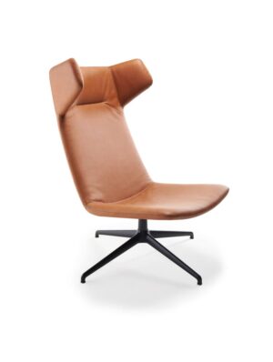 ANJO Softline Relax und Lounge-Sessel Leder Ohrensessel Drehsessel Polstersessel (6)